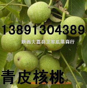 陕西核桃基地，青皮核桃产地